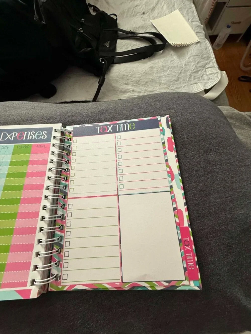 Denise Albright Budget Binder™ Undated 12-Month Budget Planner Workbook